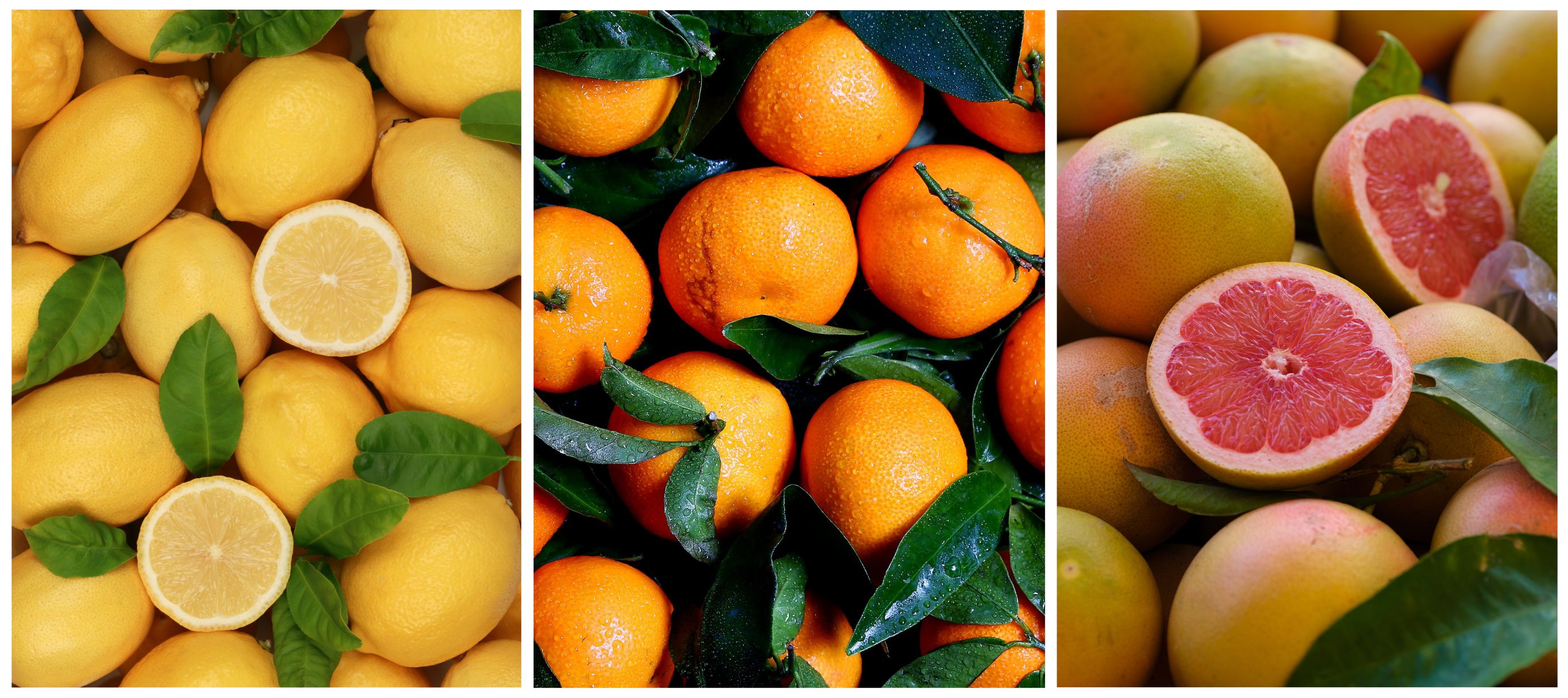 Citron, pomeranč a grep