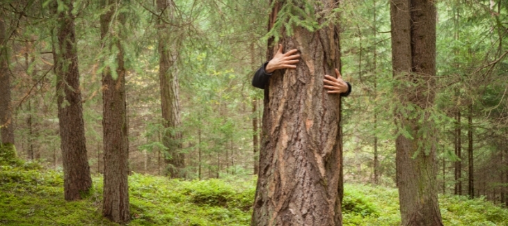 Člověk objímající strom