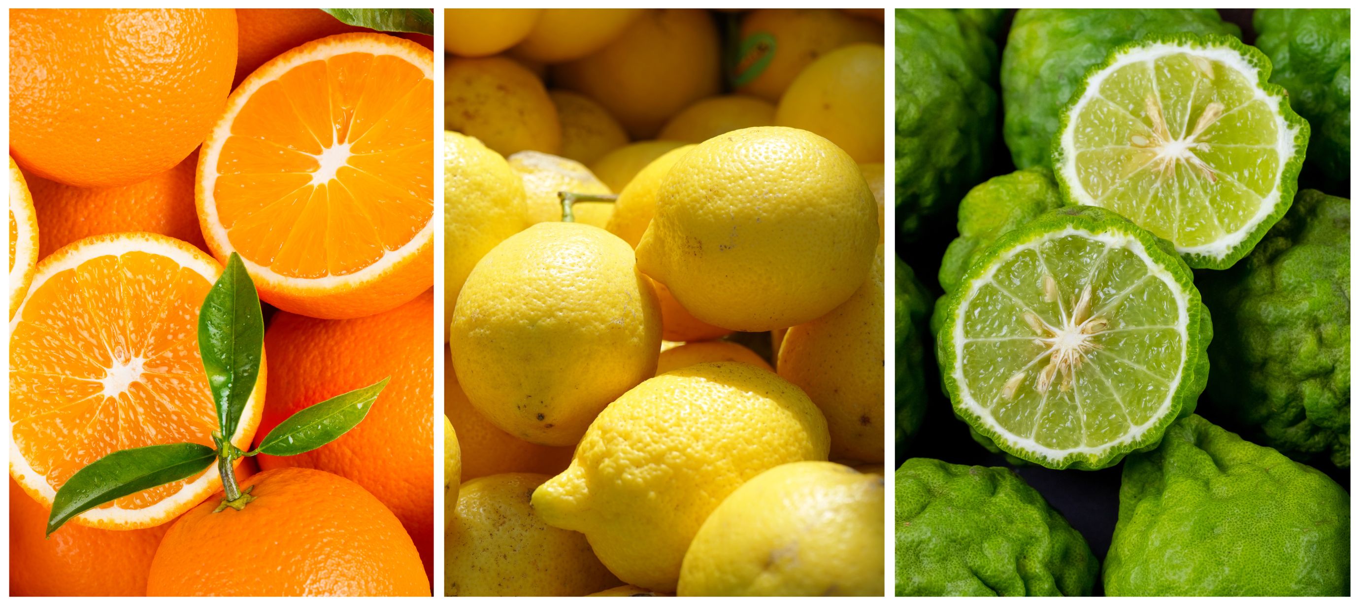 pomeranč, citron a bergamot