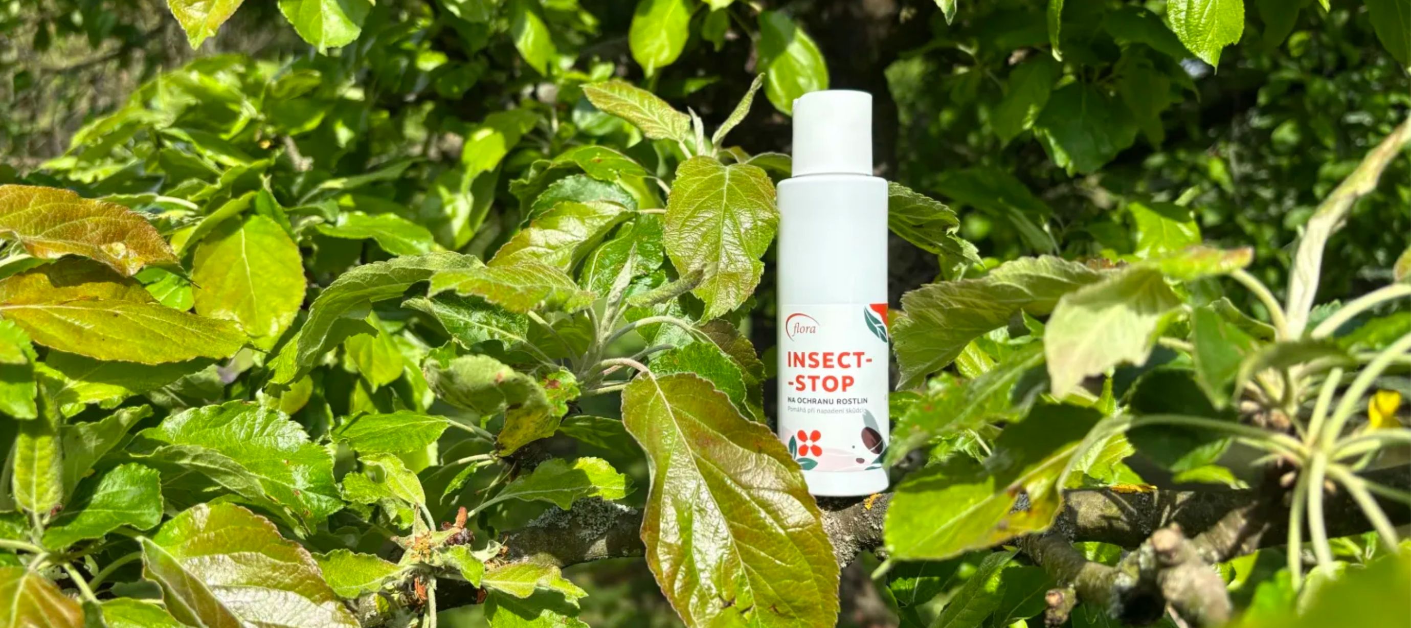 Přípravek Insectstop od Aromaflory na jabloni