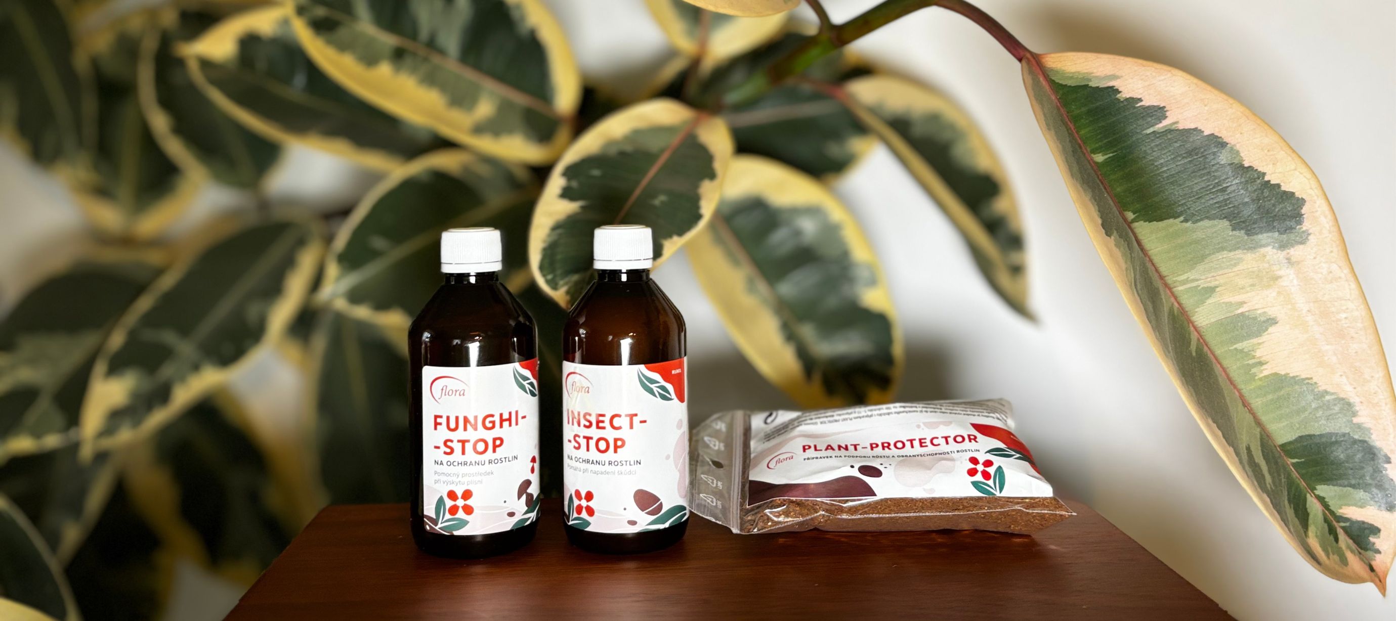 Fíkus a přípravky Aromaflora