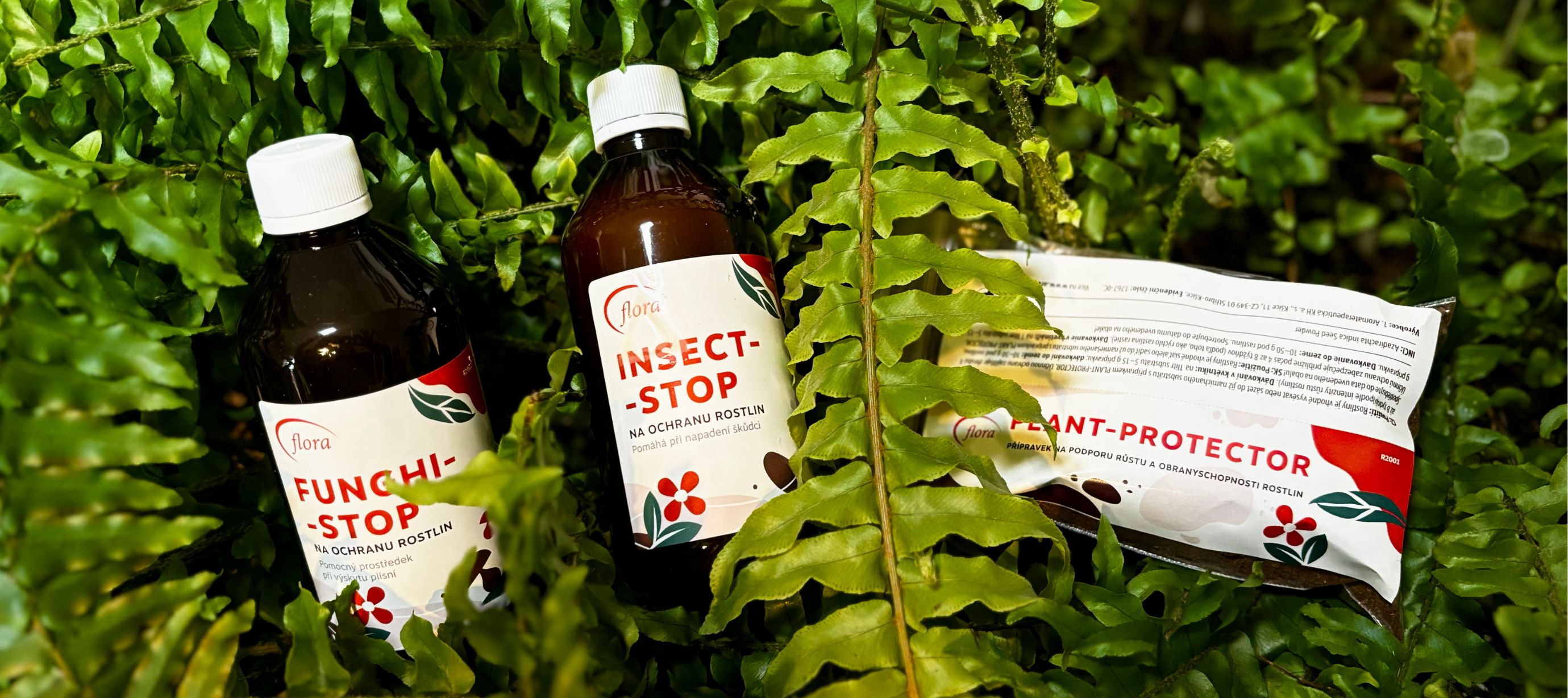 Kapradí ledviník a přípravky Aromaflora