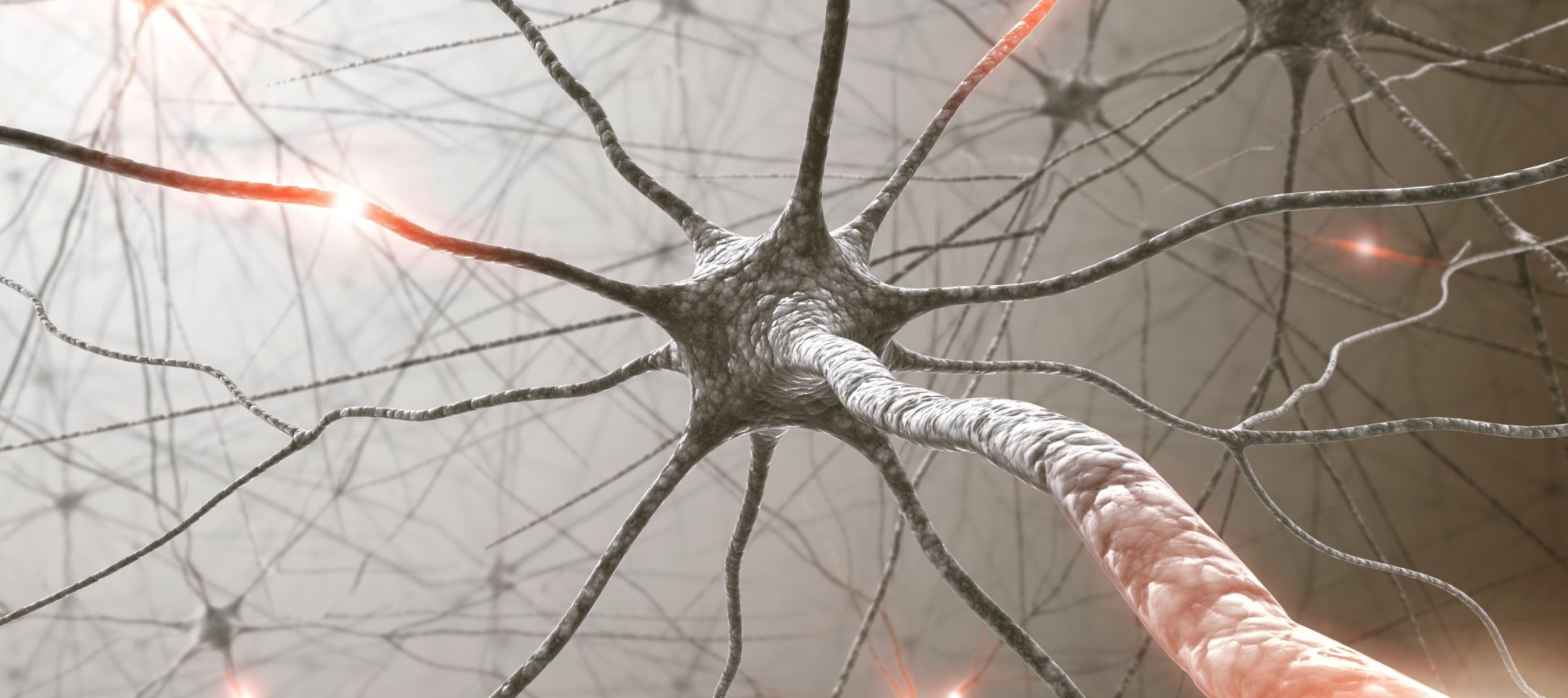 Neuron