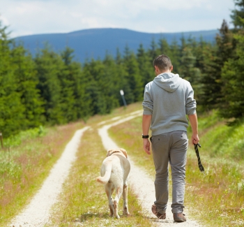 Muž a pes na procházce na horách