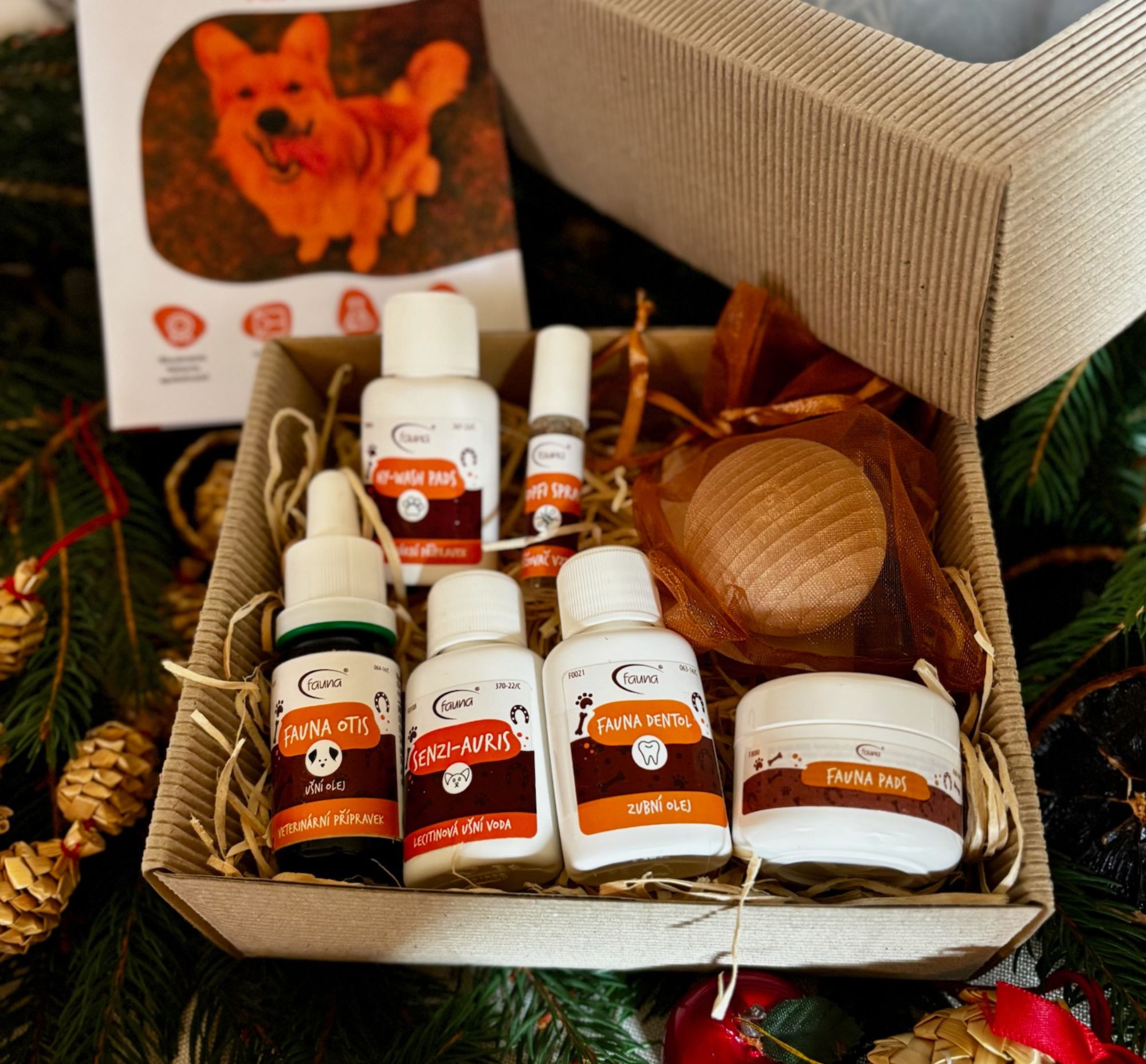 Otevřená krabička sady Fauna Haf