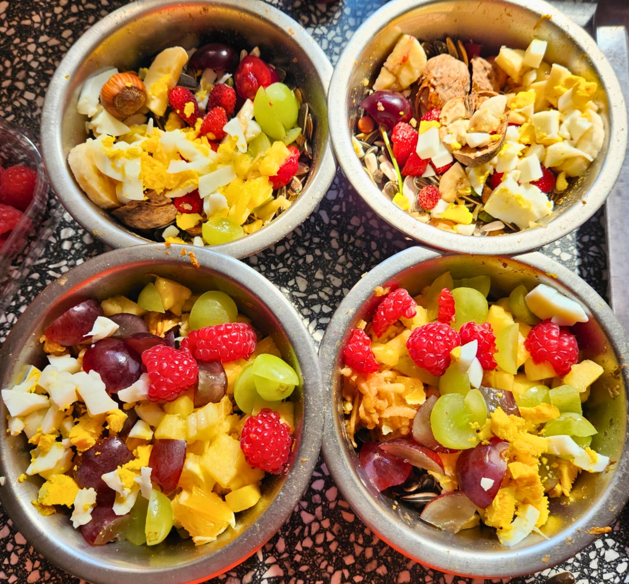 Jídlo pro ary nachystané v miskách