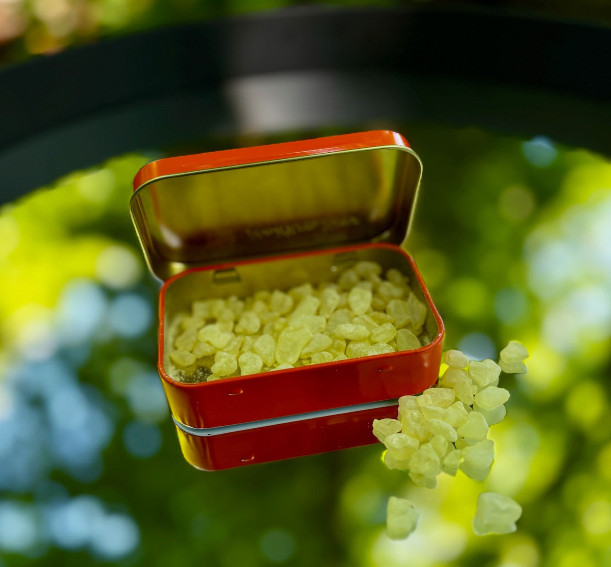 Otevřená krabička s mastichou