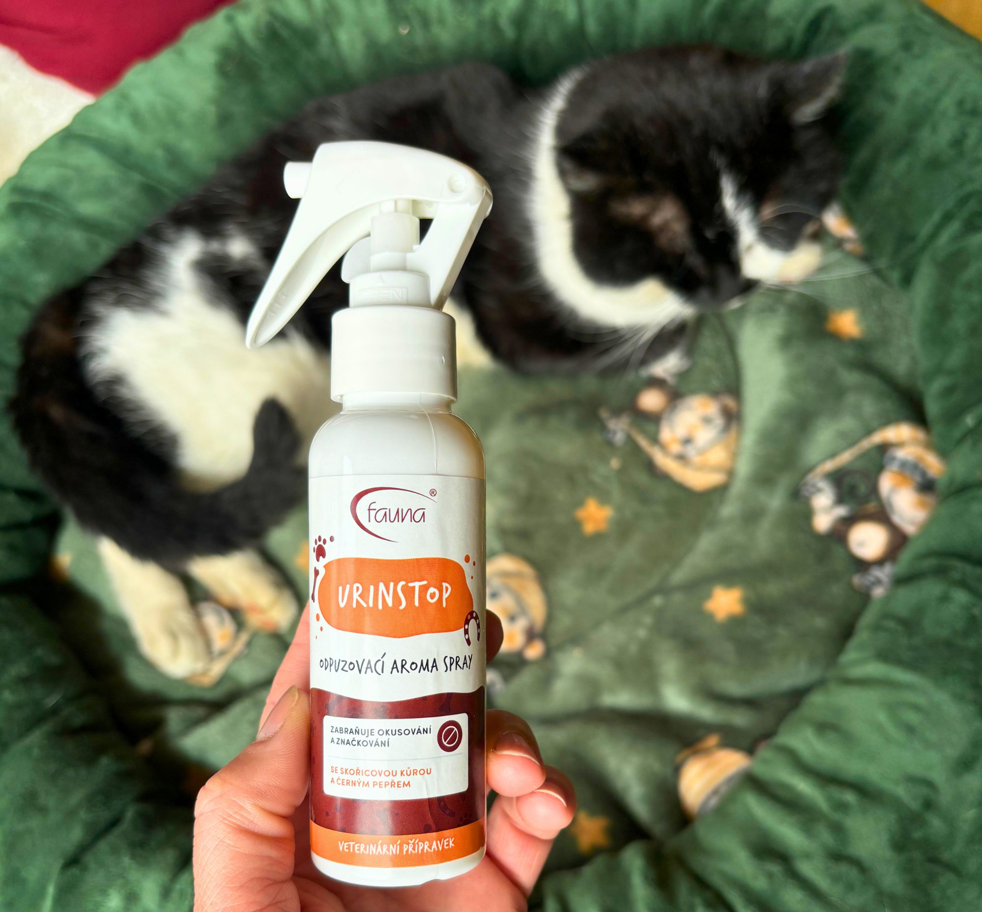 Kočka leží v pelíšku a sprej Urinstop