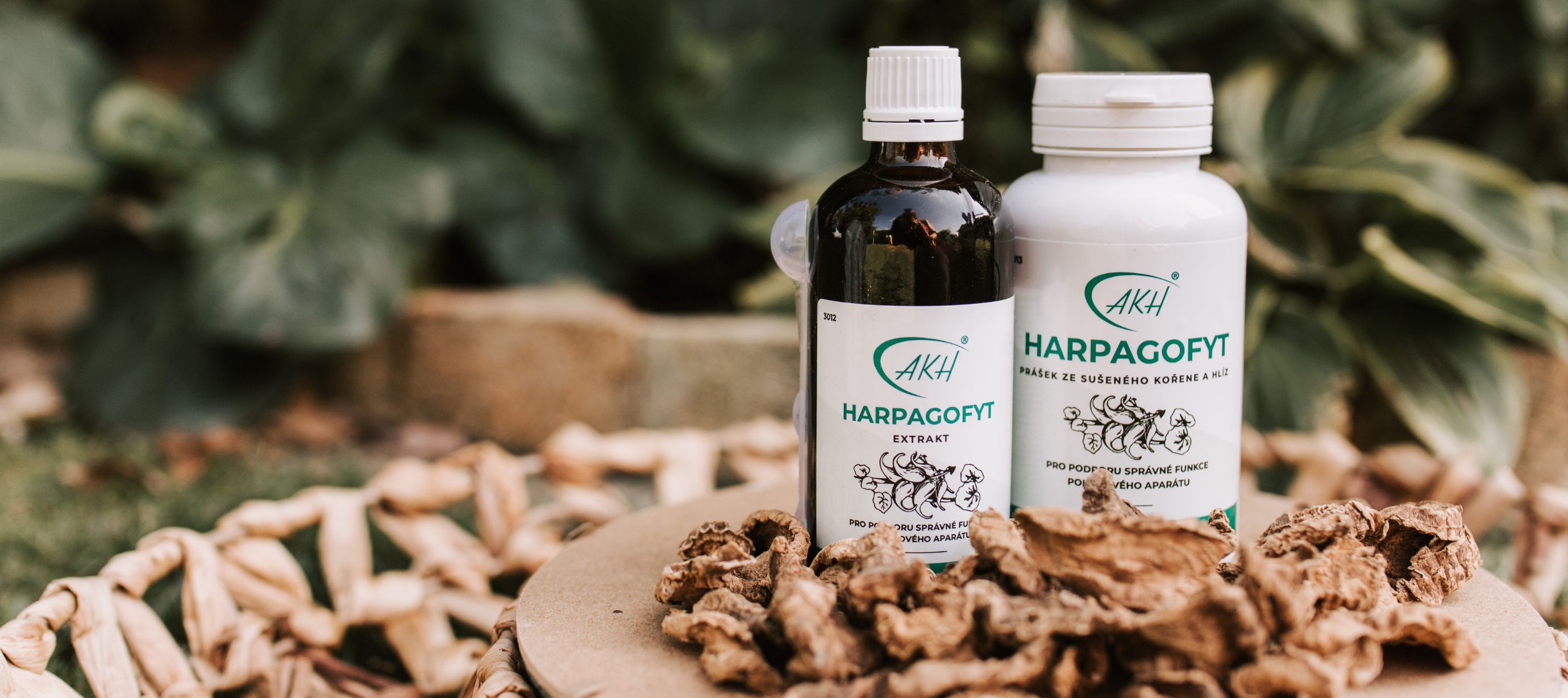 Harpagofyt extrakt a sušený kořen