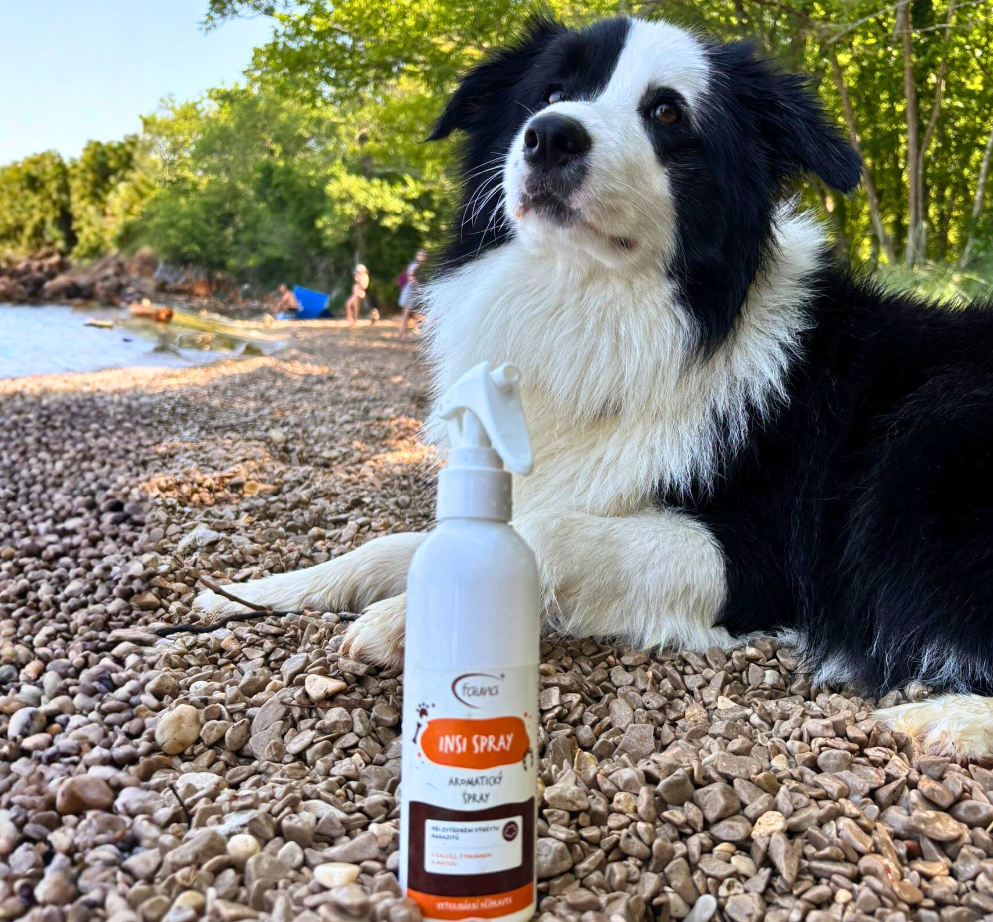 Pes ležící u vody s produktem INSI SPRAY.