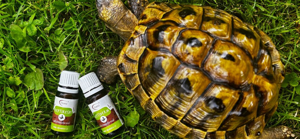 Směs esenciálních olejů REPTIDERM