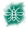 Insect Off