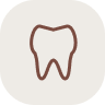 Zuby a dásně