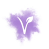 I pro vegany