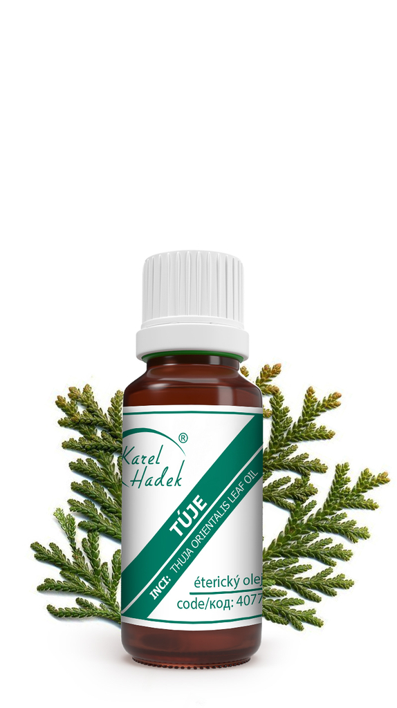 Esenciální olej TÚJE - 10 ml