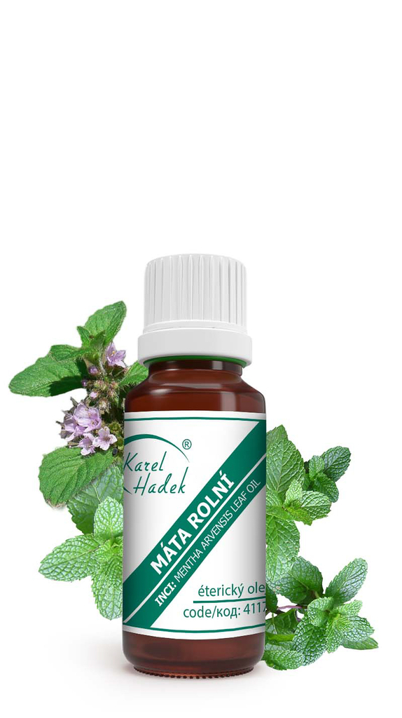 Esenciální olej MÁTA ROLNÍ - 10 ml