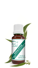 Esenciální olej EUKALYPTUS - 10 ml