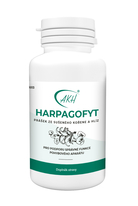 Sušený kořen HARPAGOFYT - 100 g