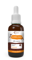 HOOFINOL RAPID při hnilobě kopyt 50 ml