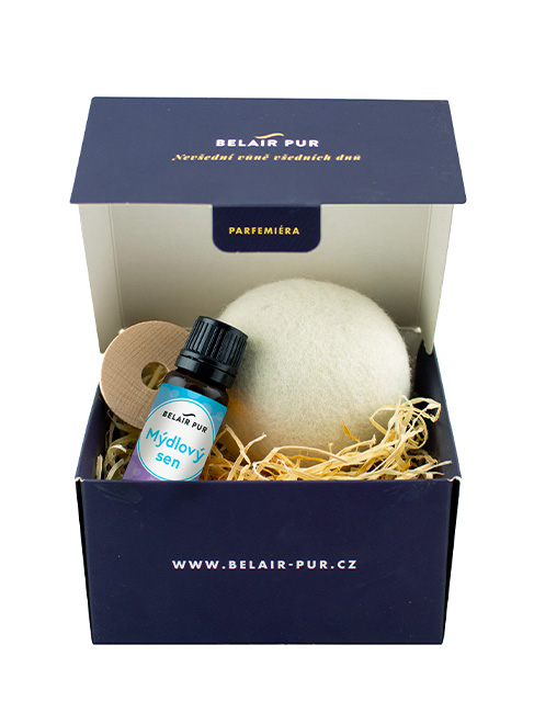 Sada do sušičky MÝDLOVÝ SEN - 10 ml