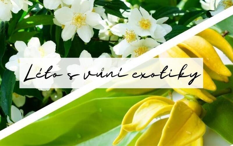 Léto s vůní EXOTIKY - 2.díl YLANG YLANG