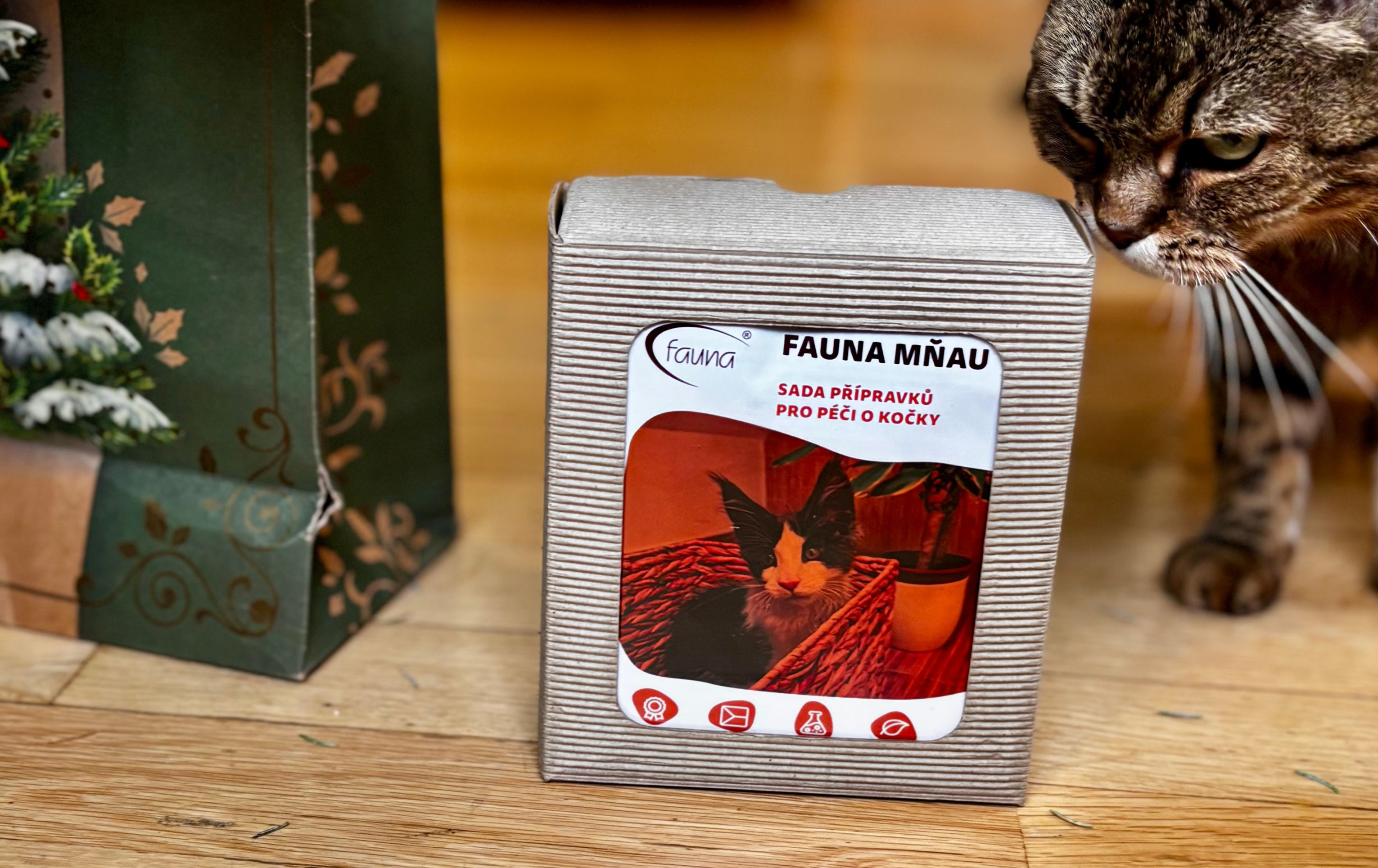 Jak naštvat kočku o Vánocích? Nedat jí sadu Fauna Mňau