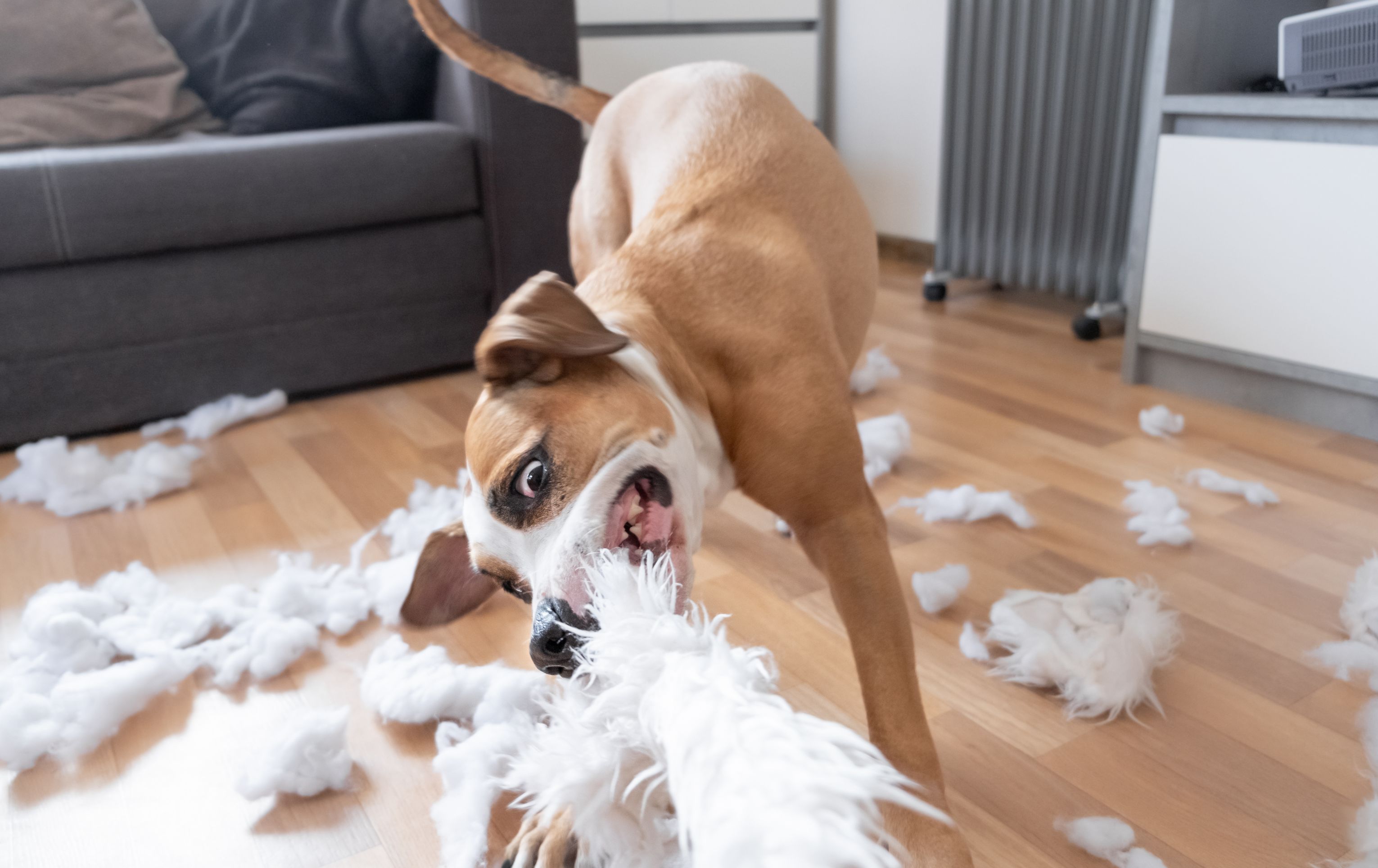 Kdo si hraje, nezlobí aneb Prťka vydrž!