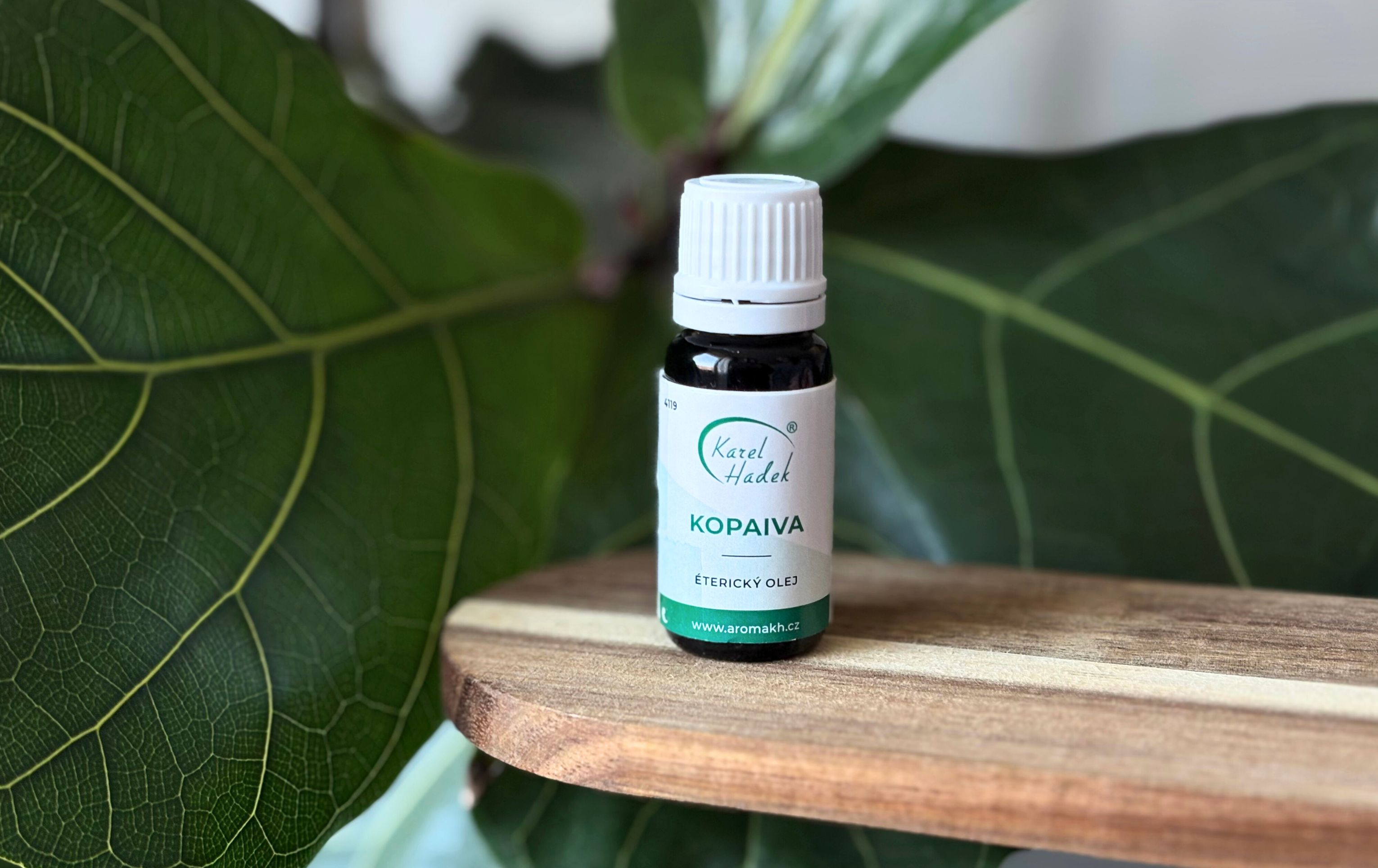 KOPAIVA – důležitá součást „aroma-lékárničky“