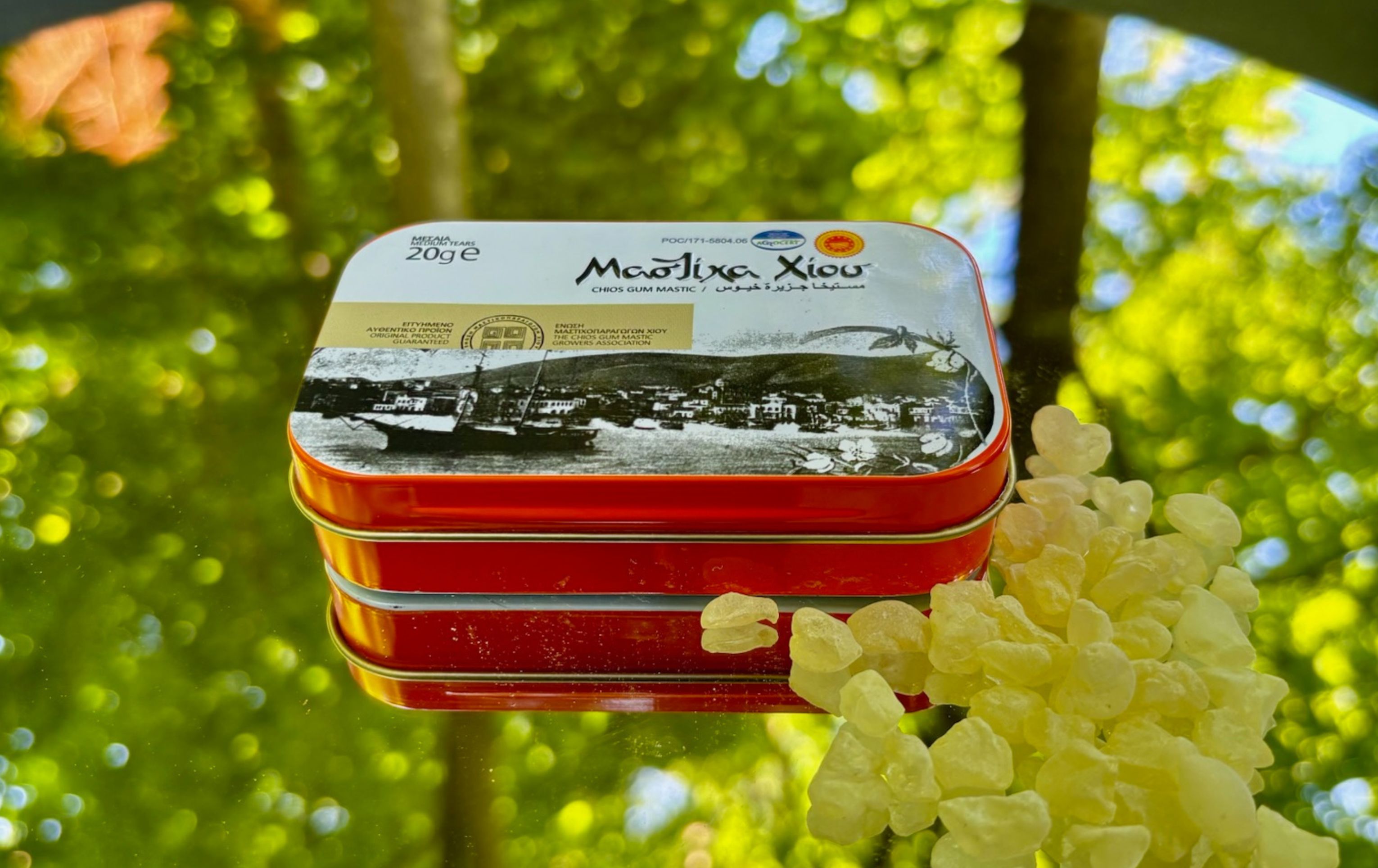 Pryskyřice MASTICHA pro péči o zuby a dutinu ústní