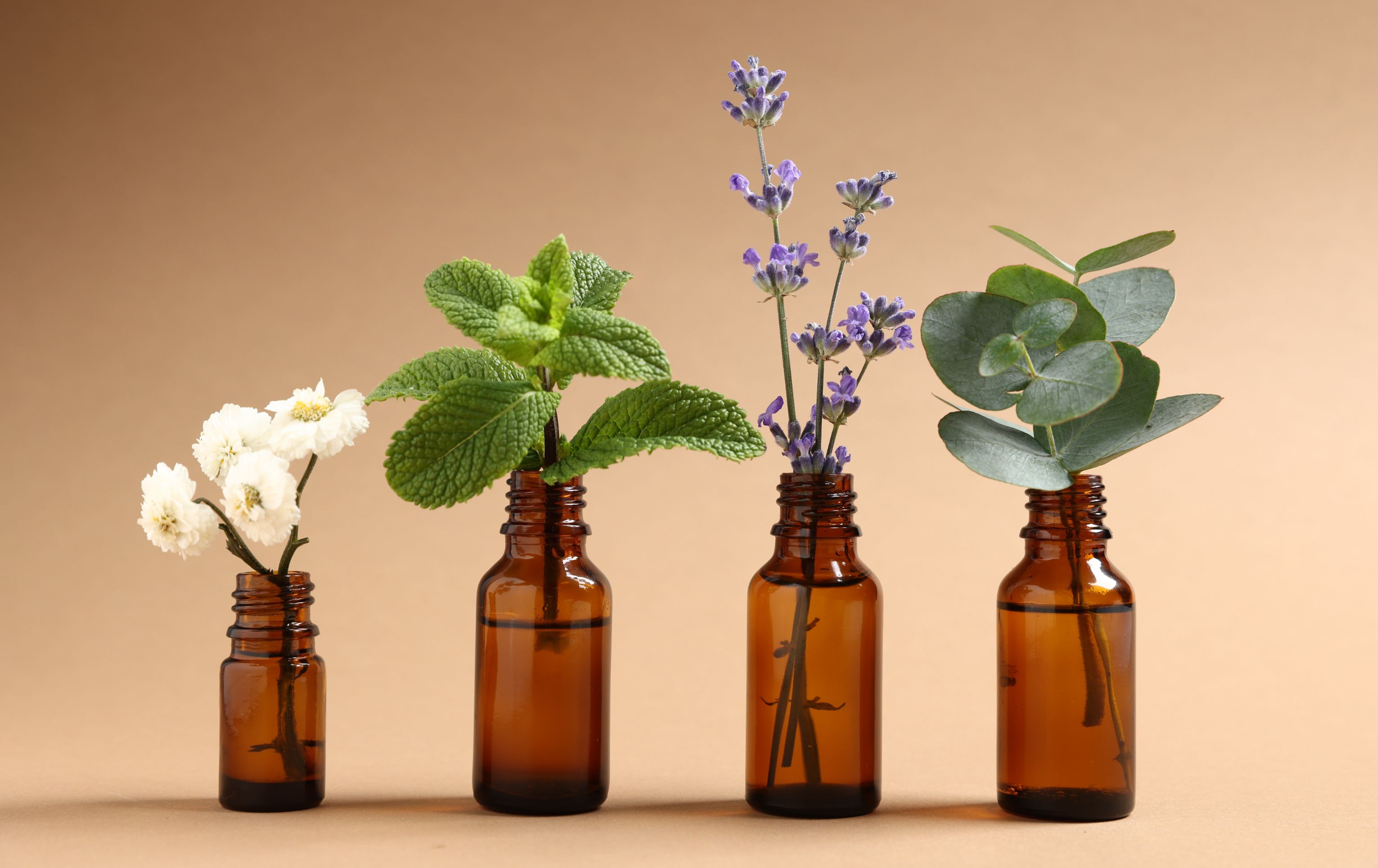 Neurokosmetika: Nový vědecký směr, nebo podstata aromaterapeutické kosmetiky?