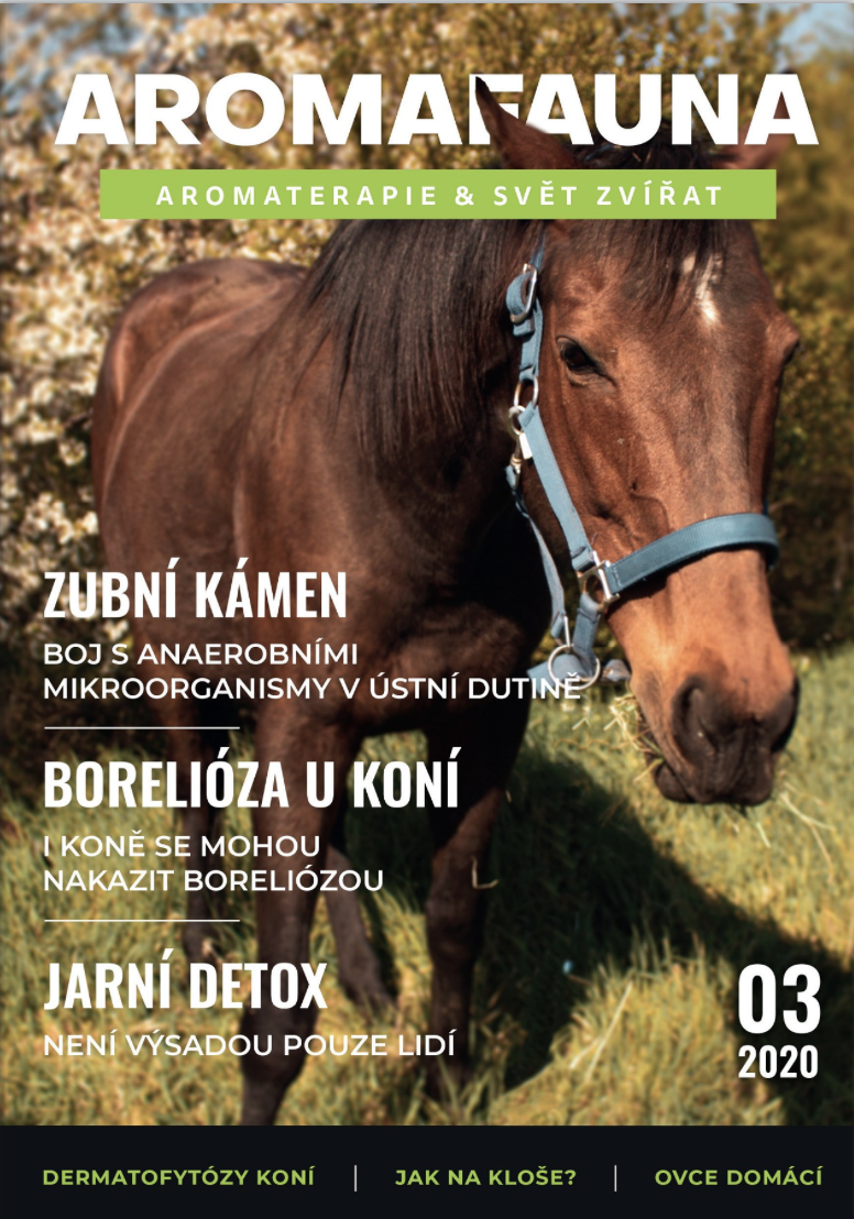AROMAFAUNA 03/2020