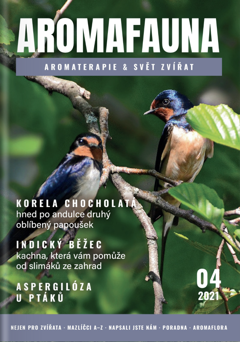 AROMAFAUNA 04/2021